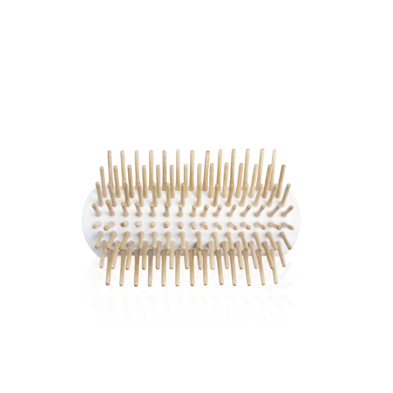 Supporto con Dentini per Spazzola Max