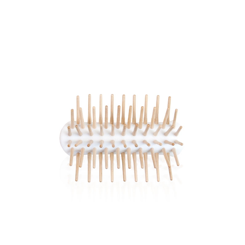 Supporto con Dentini per Spazzola Small